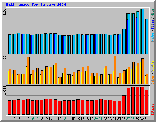 Daily usage for January 2024