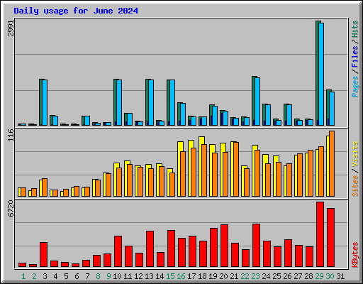 Daily usage for June 2024