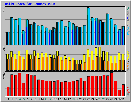 Daily usage for January 2025
