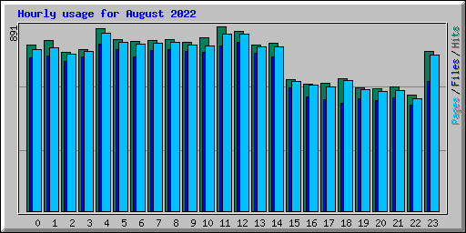 Hourly usage for August 2022