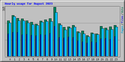 Hourly usage for August 2023