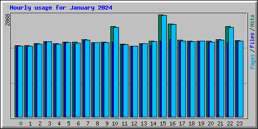Hourly usage for January 2024