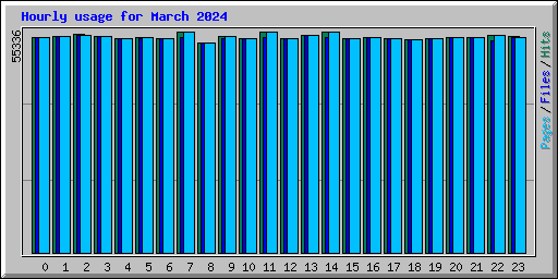 Hourly usage for March 2024