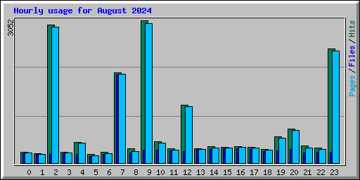 Hourly usage for August 2024