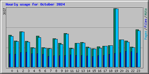 Hourly usage for October 2024