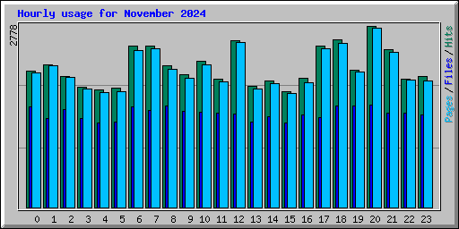 Hourly usage for November 2024