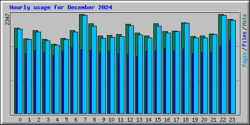 Hourly usage for December 2024