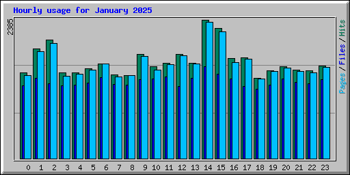 Hourly usage for January 2025