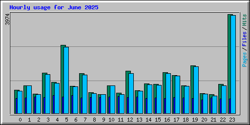 Hourly usage for June 2025