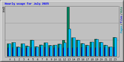 Hourly usage for July 2025