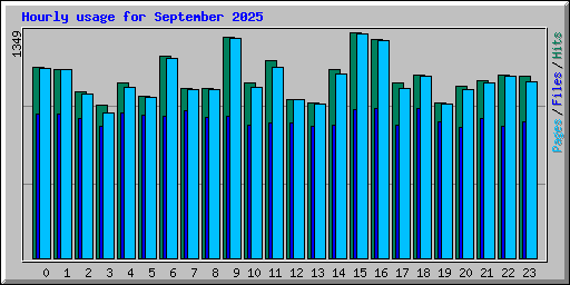 Hourly usage for September 2025