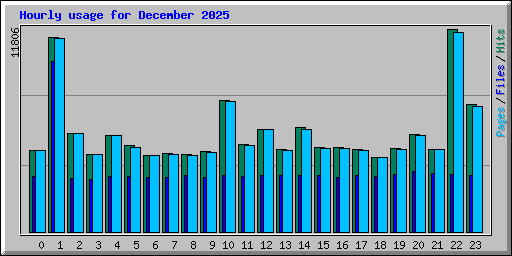 Hourly usage for December 2025
