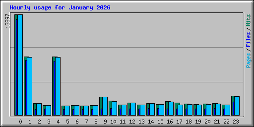 Hourly usage for January 2026